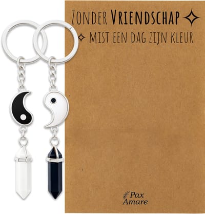 BFF Sleutelhanger voor 2 'Zonder Vriendschap mist een dag zijn kleur' - Yin Yang met Edelsteen - Sleutelhanger set op Cadeau Kaartje - Zilverkleurig - Vriendschap Symbool - Pax Amare