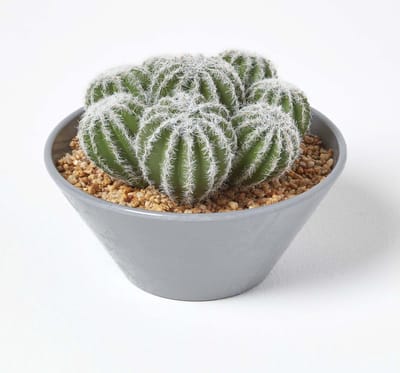 Homescapes Kunstcactus arrangement in grijze melamine pot, 17 cm hoog