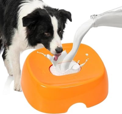Honden Lik Bal - Interactieve Voerbak - Langzaam Eten - Omvalvrij Ontwerp - 18.5 cm - Oranje