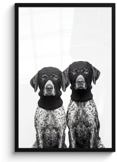 Poster in lijst - Fotolijst 60x90 cm - Posters - Honden - Bivakmuts - Zwart - wit - Posterlijst zwart - Decoratie - Wanddecoratie woonkamer - Muurdecoratie slaapkamer