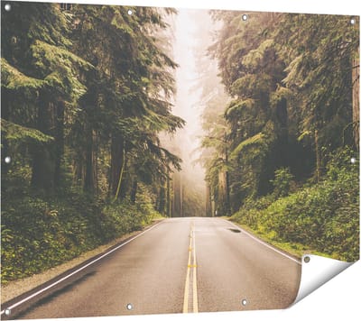 Gards Tuinposter Highway in Californië Omring met Bos - 120x90 cm - Tuindoek - Tuindecoratie - Wanddecoratie buiten - Tuinschilderij