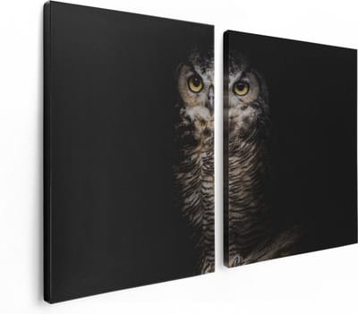 Artaza Canvas Schilderij Tweeluik Uil Op Een Tak In De Nacht - 120x80 - Foto Op Canvas - Canvas Print