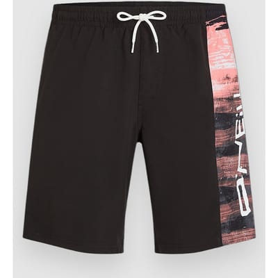 O'Neill Retro 19" Boardshorts patroon