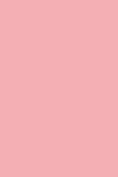 Netuno - roze glad gekleurd papier - A4 - 21 x 29,7 cm - 20 vellen - 230 gram - Rainbow Pink R55