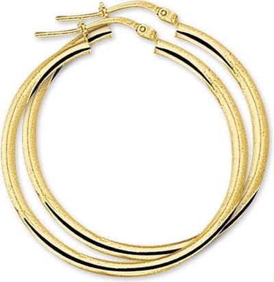 The Jewelry Collection Oorringen Ronde Buis - Geelgoud