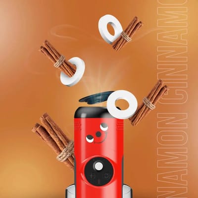 Numatic geurcapsules kaneel - 10 stuks - voor Henry en Hetty Quick steelstofzuigers - Cinnamon Scent Rings