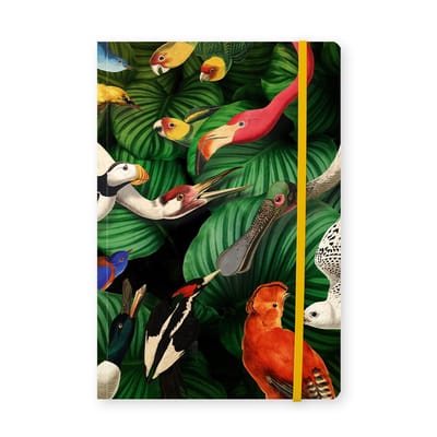 Lanzfeld Teylers Museum - Kunst Notitieboek A5 - Gelinieerd - Birdlife - 80 Pagina's - Softcover