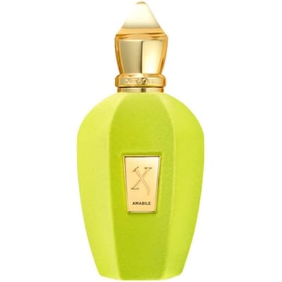 XERJOFF V-Collection Eau de Parfum Spray Herenparfum Unisex 100 ml