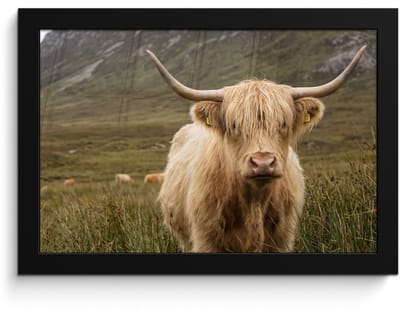 Poster in lijst - Fotolijst 30x20 cm - Posters - Schotse hooglander - Bergen - Grasveld - Posterlijst zwart - Decoratie - Wanddecoratie woonkamer - Muurdecoratie slaapkamer