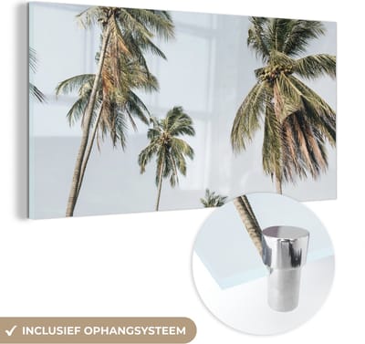 MuchoWow® Glasschilderij 40x20 cm - Schilderij acrylglas - Palmen - Zomer - Tropisch - Foto op glas - Schilderijen