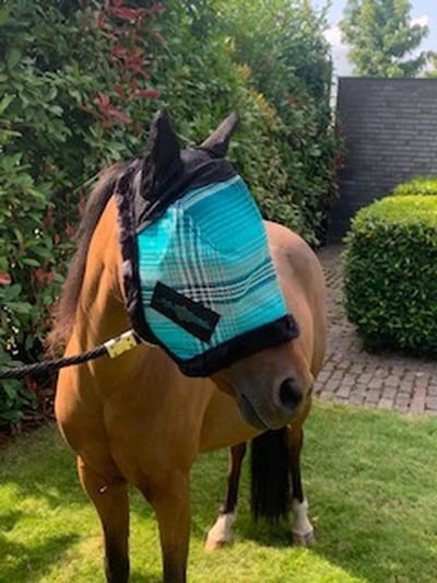Kensington Vliegenmasker met oren Deluxe Atlantis pony