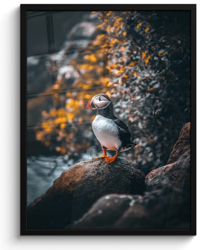 Poster in lijst - Fotolijst 50x70 cm - Posters - Papegaai - Vogel - Rots - Wit - Posterlijst zwart - Decoratie - Wanddecoratie woonkamer - Muurdecoratie slaapkamer