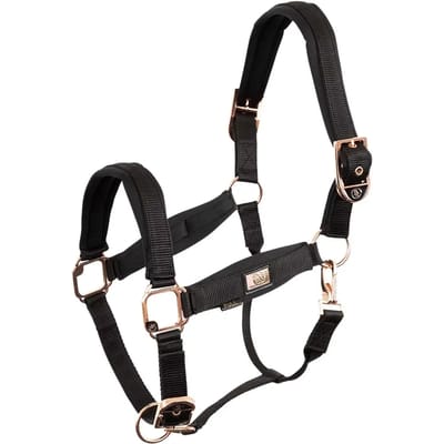 Halster voor paarden BR Equitation Rose Gold