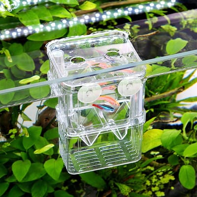 Lexium Kweekbakje vissen - Vissen kweekbakje - Aquarium voor uibroeden vis eitjes