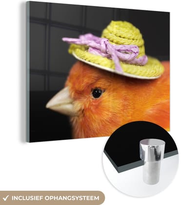 MuchoWow® Glasschilderij 160x120 cm - Schilderij acrylglas - Vogel - Hoed - Oranje - Foto op glas - Schilderijen