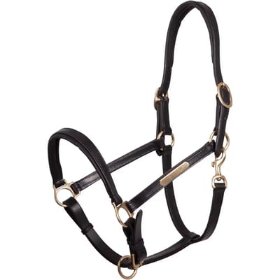 Leren halster voor paarden Premiere Equitation