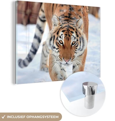 MuchoWow® Glasschilderij 40x30 cm - Schilderij acrylglas - Tijger - Sneeuw - Dieren - Foto op glas - Schilderijen