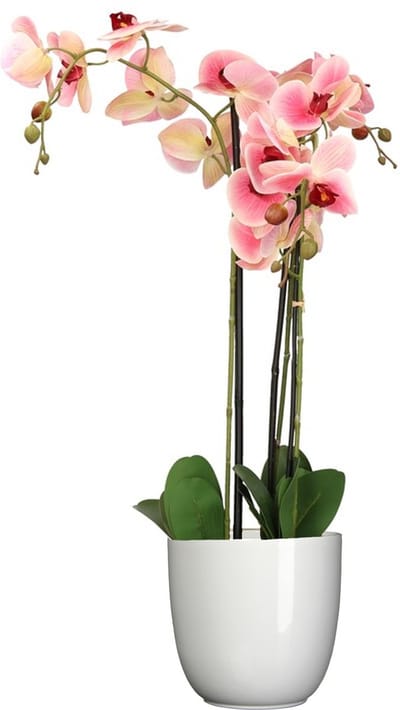 Orchidee kunstplant roze - 75 cm - inclusief bloempot wit glans - Kunstbloemen in pot