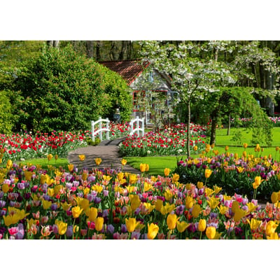 Ravensburger Puzzle Beautiful Gardes - Keukenhof Gardens - Netherlands 1000p