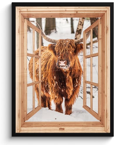 Poster in lijst - Fotolijst 50x70 cm - Posters - Schotse Hooglander - Winter - Landschap - Natuur - Dieren - Doorkijk - Posterlijst zwart - Decoratie - Wanddecoratie woonkamer - Muurdecoratie slaapkamer
