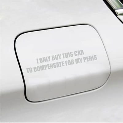 Bumpersticker - I Only Buy This Car - 3,5 X 19,6 - Licht Grijs
