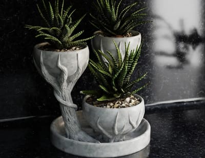 Vetplant Pot met 3 Plantvakken – Three Cups Succulent Planter – Decoratieve Cactus en Vetplant Houder voor Binnen – Grijs