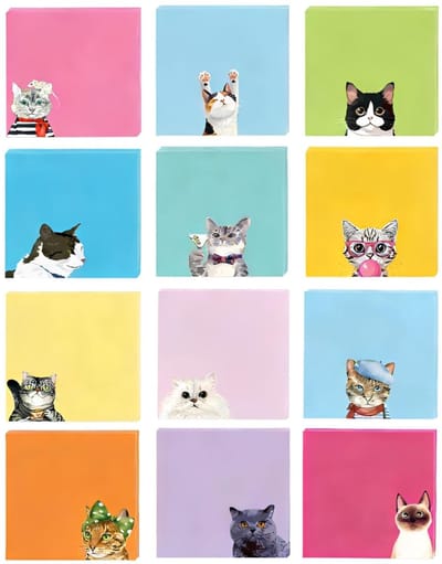 Dailygoods- Notitieblaadjes 75 mm x 75 mm - Zelfklevende Memoblaadjes - Katten Notities - Herbruikbaar - Super Plakkerig - Makkelijk te Verwijderen - Plaknotities