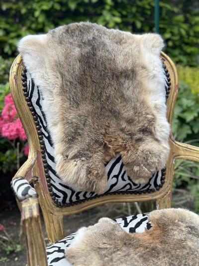 SET VAN 3 XXL wildkleur konijnenvachtjes - 3 reuzen vachten konijnenvel bruin - velletje tafel - decoratie vel dierenhuid tafel