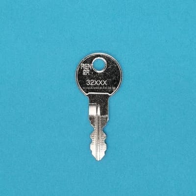 Reservesleutel Profiel 32 - Brievenbus Sleutel - Toegang Brievenbus - Op Bestelling Gemaakt - 1 Stuk - Zilver