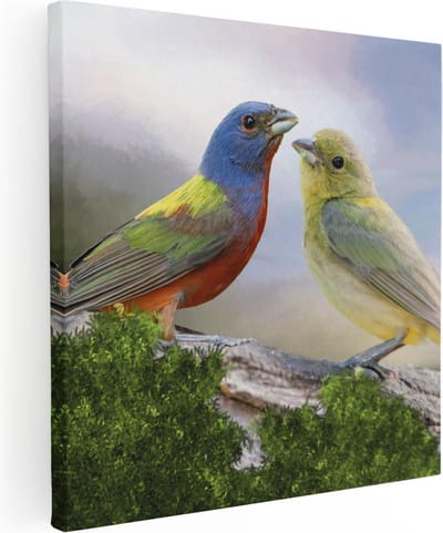 Artaza Canvas Schilderij Vogels - 80x80 cm - Wanddecoratie Vogel - Muurdecoratie Woonkamer - Kamer Accessoires Kleurrijk