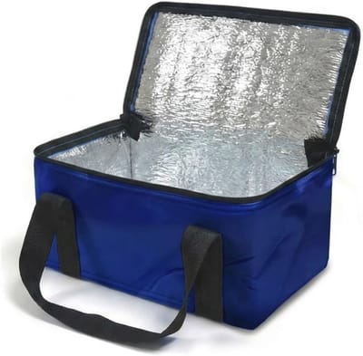 Opvouwbare 9,5 Liter Koeltas voor Picknick en Strand