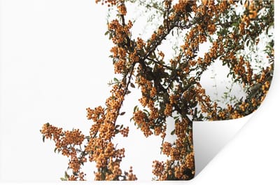 Muurstickers - Sticker Folie - Bloemen - Takken - Natuur - 30x20 cm - Plakfolie - Muurstickers Kinderkamer - Zelfklevend Behang - Zelfklevend behangpapier - Stickerfolie