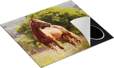 Chefcare Inductie Beschermer Bruin Paard in de Wei - 60x50 cm - Afdekplaat Inductie - Kookplaat Beschermer - Inductie Mat