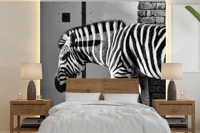 Behang - Fotobehang Zebra - Muur - Deur - Dieren - Zwart wit - Breedte 300 cm x hoogte 300 cm