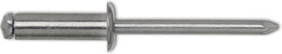 Blinde Klinknagels Aluminium/Staal Platte Kop 4,8 x 12 mm (500 stuks)