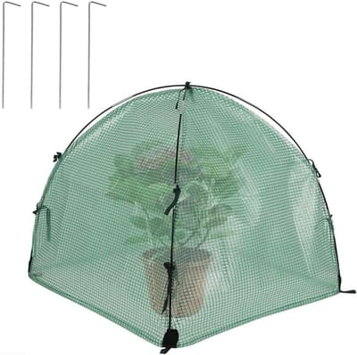 Plantentent Vorstbescherming - Mini Kas Hoes - Planten Beschermen - Optimaal Lichtdoorlatend - 60x60x60cm - Transparant