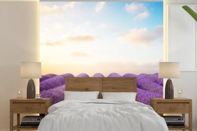 Behang - Fotobehang Lavendel - Lucht - Wolken - Bloemen - Breedte 220 cm x hoogte 220 cm