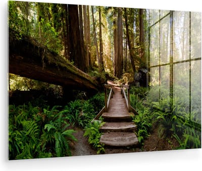 MuchoWow® Glasschilderij 150x100 cm - Schilderij acrylglas - Jungle - Natuur - Trap - Bomen - Foto op glas - Muurdecoratie woonkamer - Wanddecoratie slaapkamer - Schilderijen