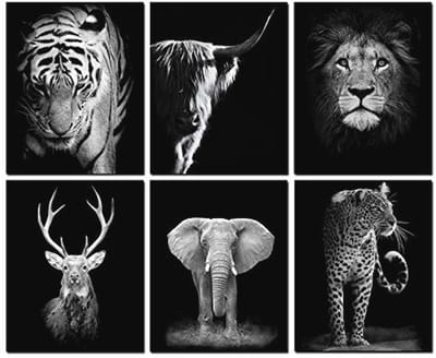 Set van 6 Dieren Muurkunst Prints - Zwart-Wit Wanddecoratie voor Thuis