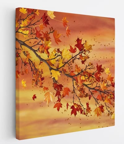 Saammp Canvas Schilderij - herfst tak - Abstract - 20x20 - Foto op canvas - Wanddecoratie - Muurdecoratie Woonkamer - Slaapkamer decoratie - Canvas Print