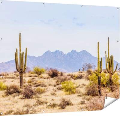 Gards Tuinposter Cactussen in de Woestijn - 150x120 cm - Tuindoek - Tuindecoratie - Wanddecoratie buiten - Tuinschilderij