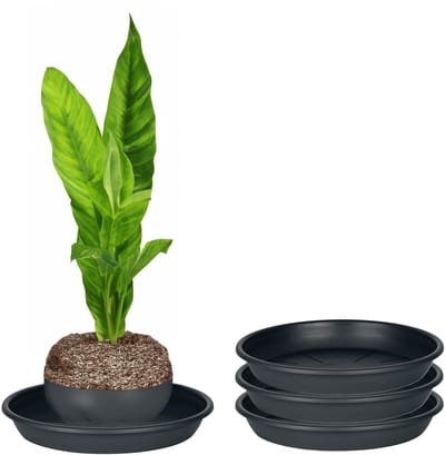 Juypal Plantenschotel - 3x - zwart - kunststof - Dia 20 cm - onderschotel/opvangschaal