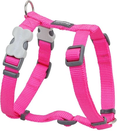 Red Dingo Hondentuig XL 25mm Neck 62-109cm Body 71-113cm DH-ZZ-HP-XL