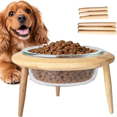 Verhoogde voerbak - Katten voerstandaard - Comfortabel eten - Ergonomisch design - 27 cm hoog - Meerkleurig