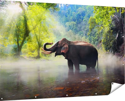 Gards Tuinposter Olifant in het Water - 180x120 cm - Tuindoek - Tuindecoratie - Wanddecoratie buiten - Tuinschilderij