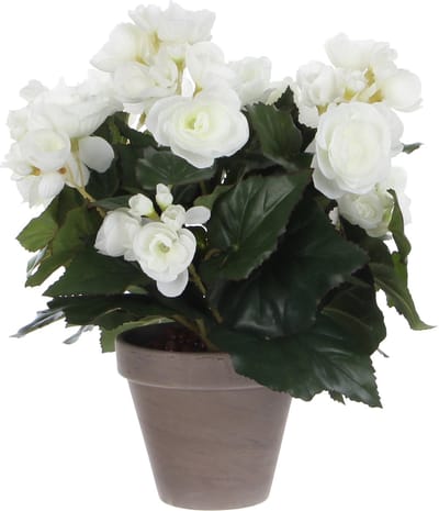 Mica Decoration Kunstplant - begonia - wit - in pot - 30 cm - nepplanten
