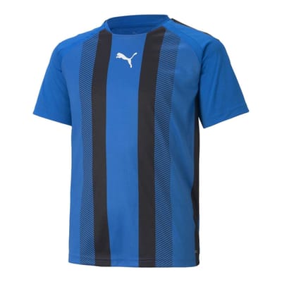 Puma Kinder Team Liga Gestreept Atletisch T-Shirt (Blauw/Zwart/Wit)