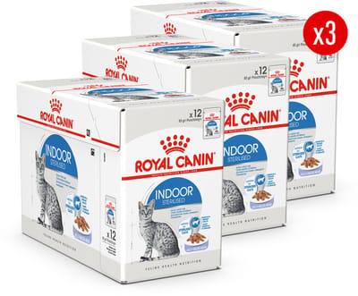 Royal Canin Sterilised Indoor in Jelly - 36 x 85 g - Katten Natvoer - Voordeelverpakking