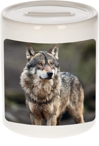 Dieren wolf foto spaarpot 9 cm jongens en meisjes - Cadeau spaarpotten wolf wolven liefhebber