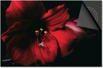 Inductie beschermer 60x60 - afdekplaat inductie mat - Dietrix Kookplaat beschermer - Exclusief - Bloemen en Planten - Orchidee rood